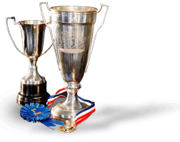 企業(yè)榮耀 企業(yè)榮耀